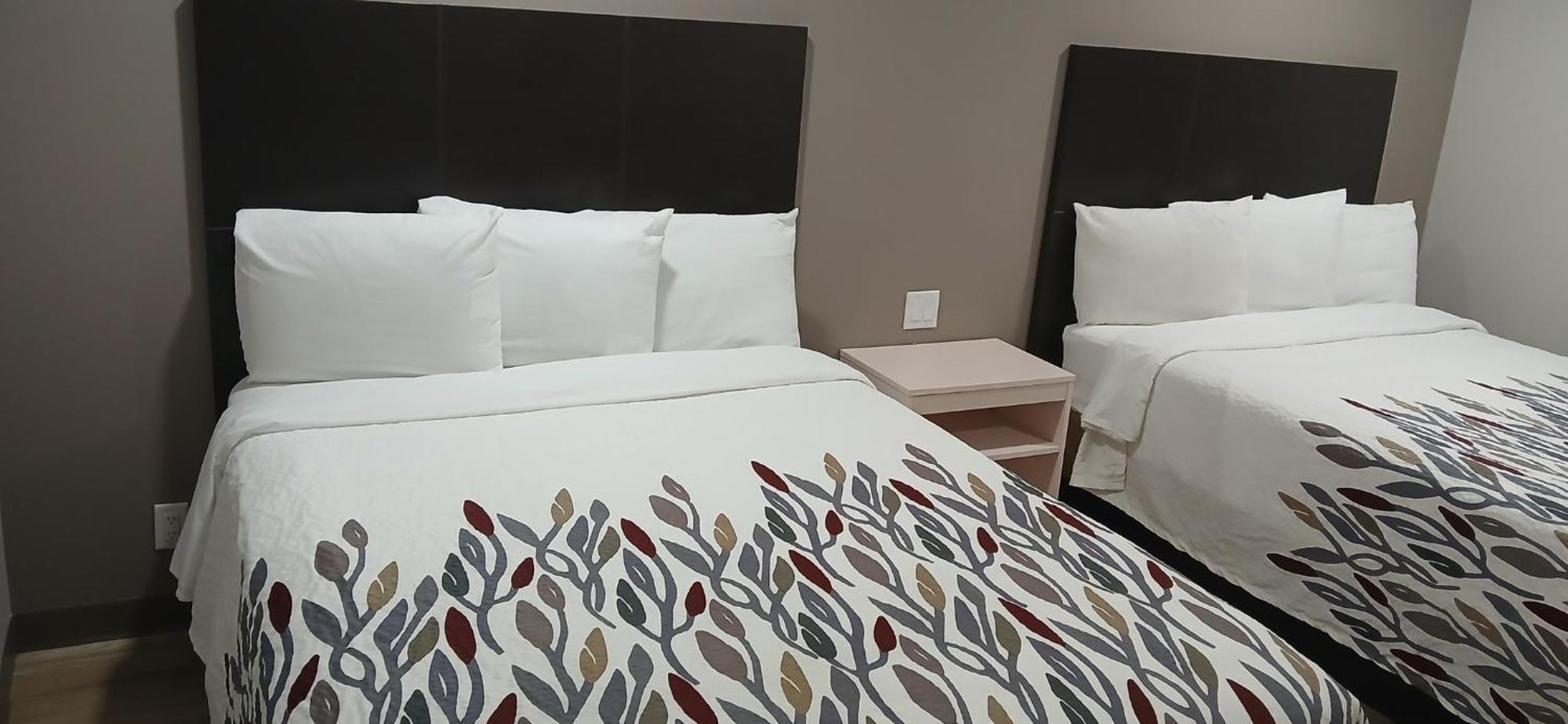 Red Roof Inn & Suites Euless - Dfw Airport Southwest Dış mekan fotoğraf